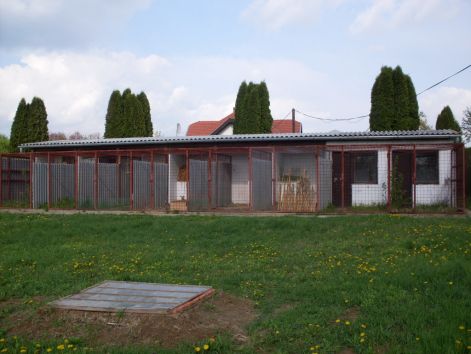 sdc15026.jpg sdc15026.jpg